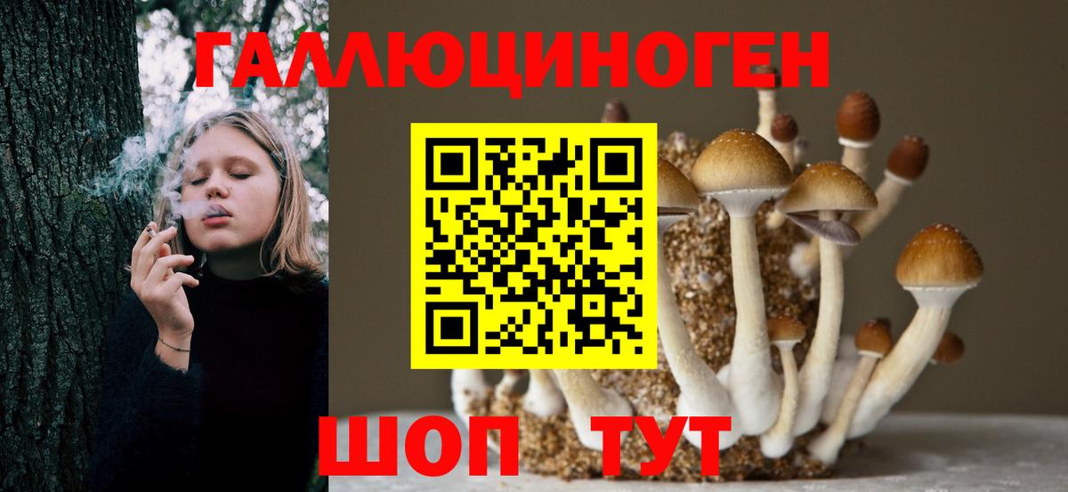Псилоцибиновые грибы Psilocybe  цена   Ухта  Вход с VPN 